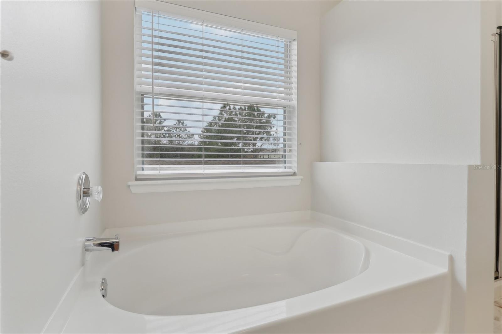 2804 GRASMERE VIEW PKWY, KISSIMMEE, FL, 34746