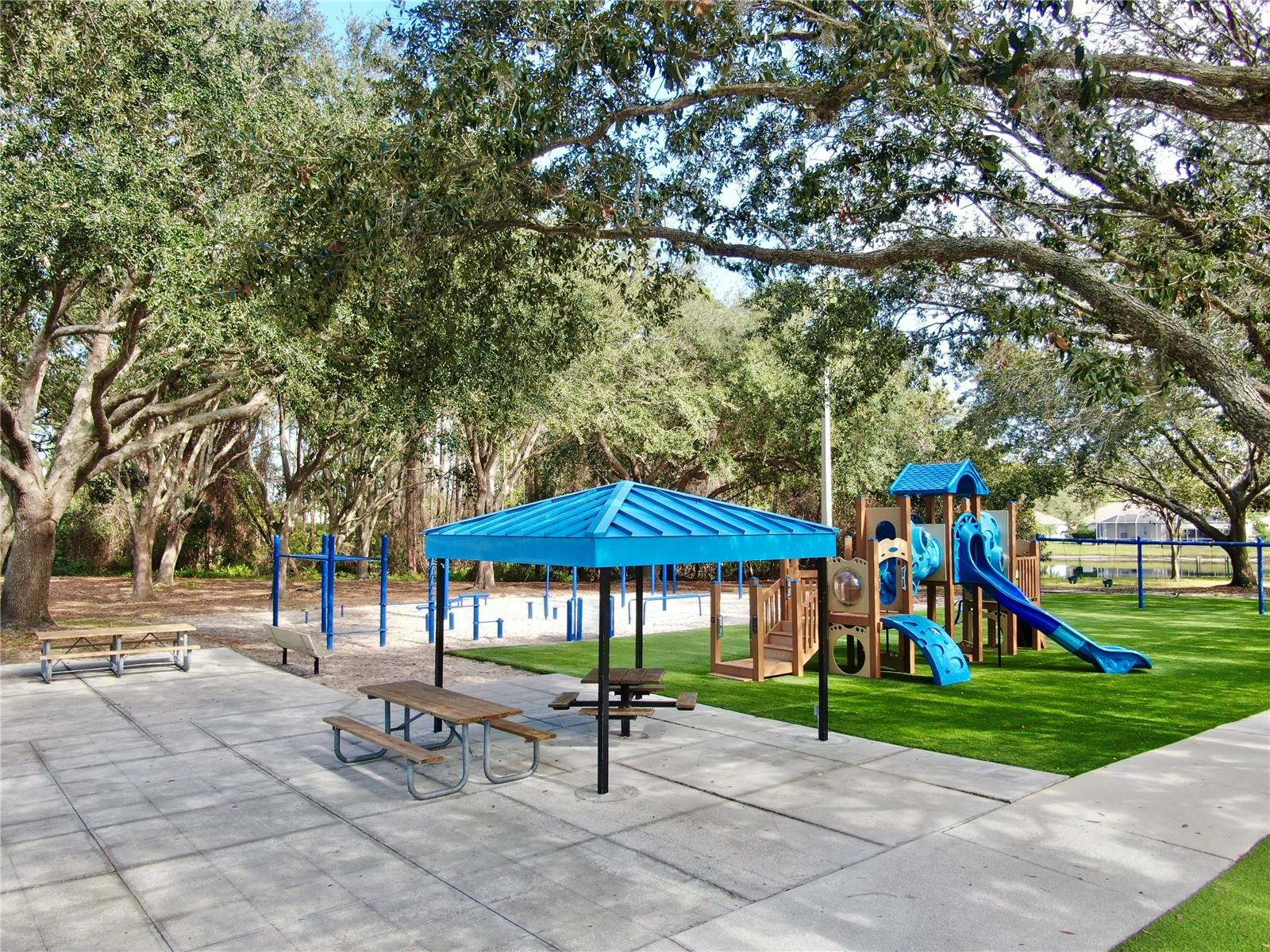 5253 MIRA VISTA DR, PALM HARBOR, FL, 34685