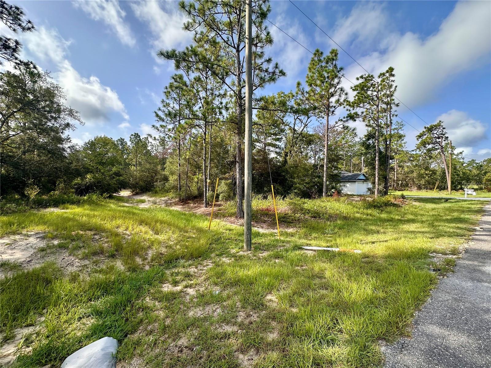 0 GUAVA PASS, OCKLAWAHA, FL, 32179