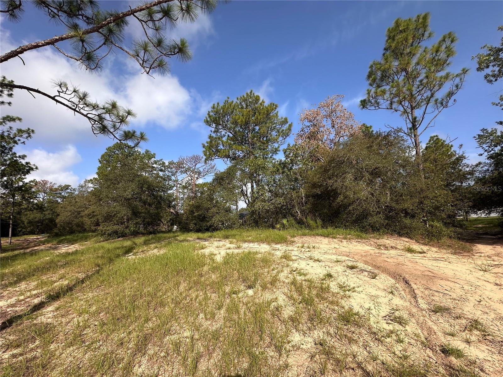 0 GUAVA PASS, OCKLAWAHA, FL, 32179