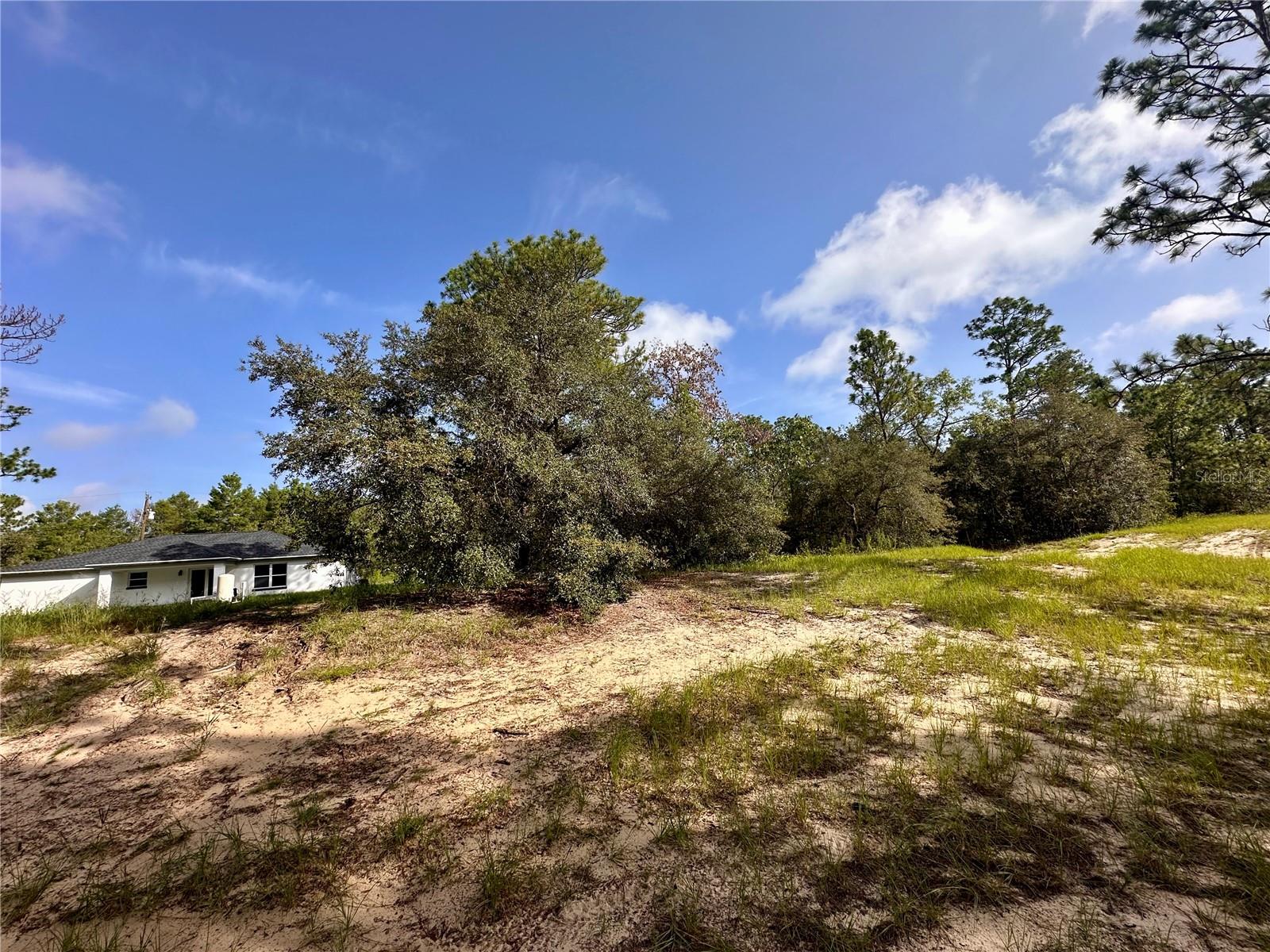 0 GUAVA PASS, OCKLAWAHA, FL, 32179