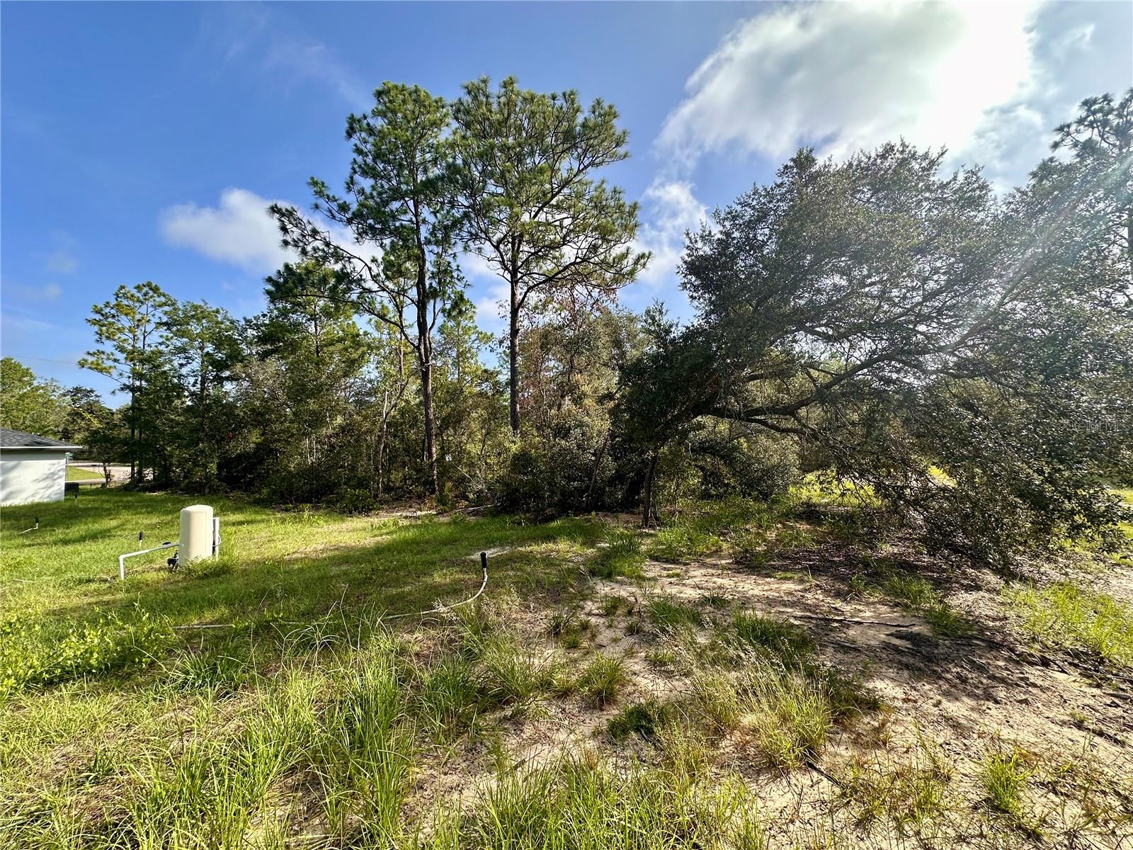 0 GUAVA PASS, OCKLAWAHA, FL, 32179