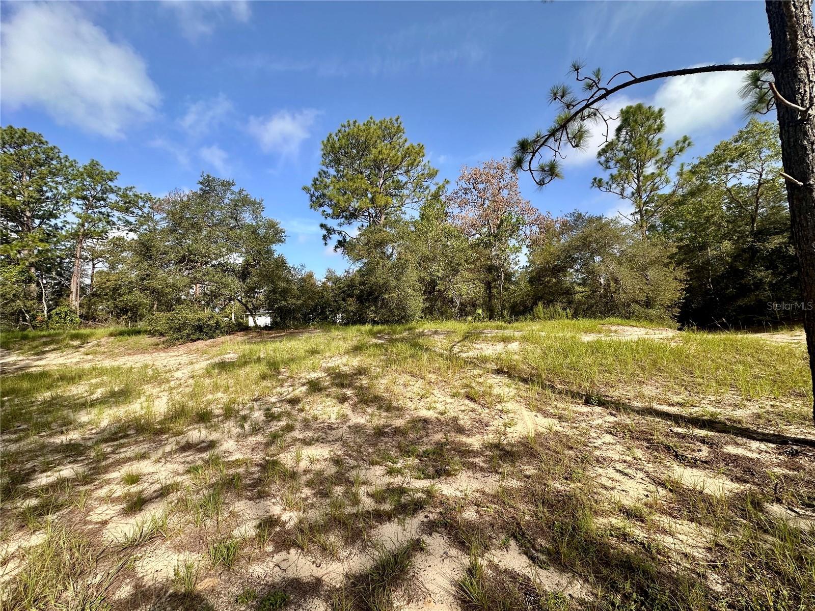 0 GUAVA PASS, OCKLAWAHA, FL, 32179