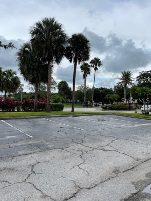 429 FOUNTAINHEAD CIR #223, KISSIMMEE, FL, 34741