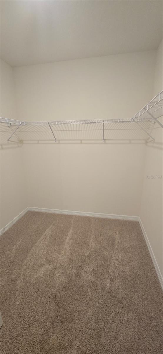 1425 FOUNTAIN VIEW ST, ORMOND BEACH, FL, 32174