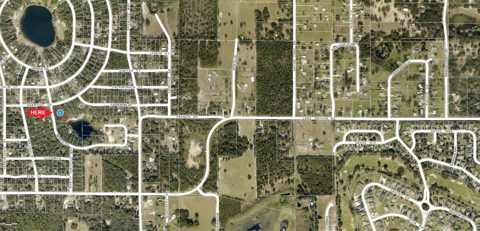REDBUD RD, LADY LAKE, FL, 32159