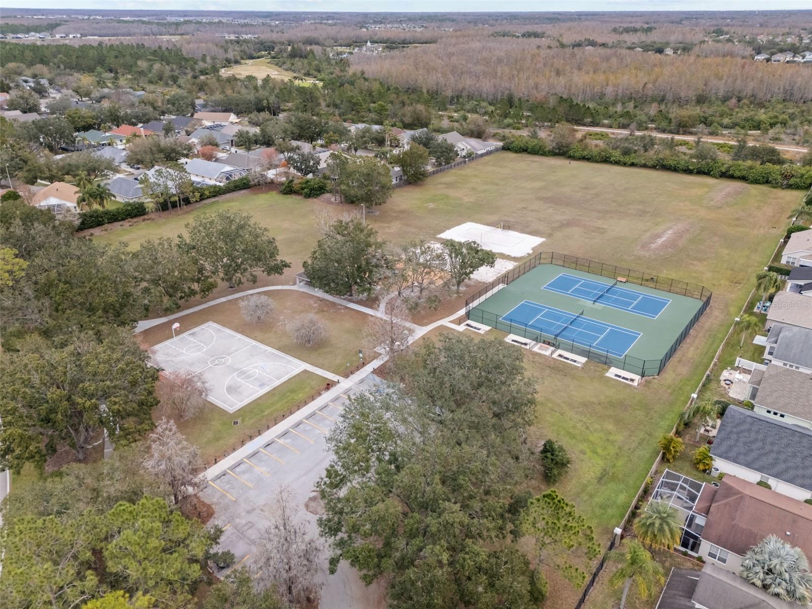 19145 CHERRY ROSE CIR, LUTZ, FL, 33558