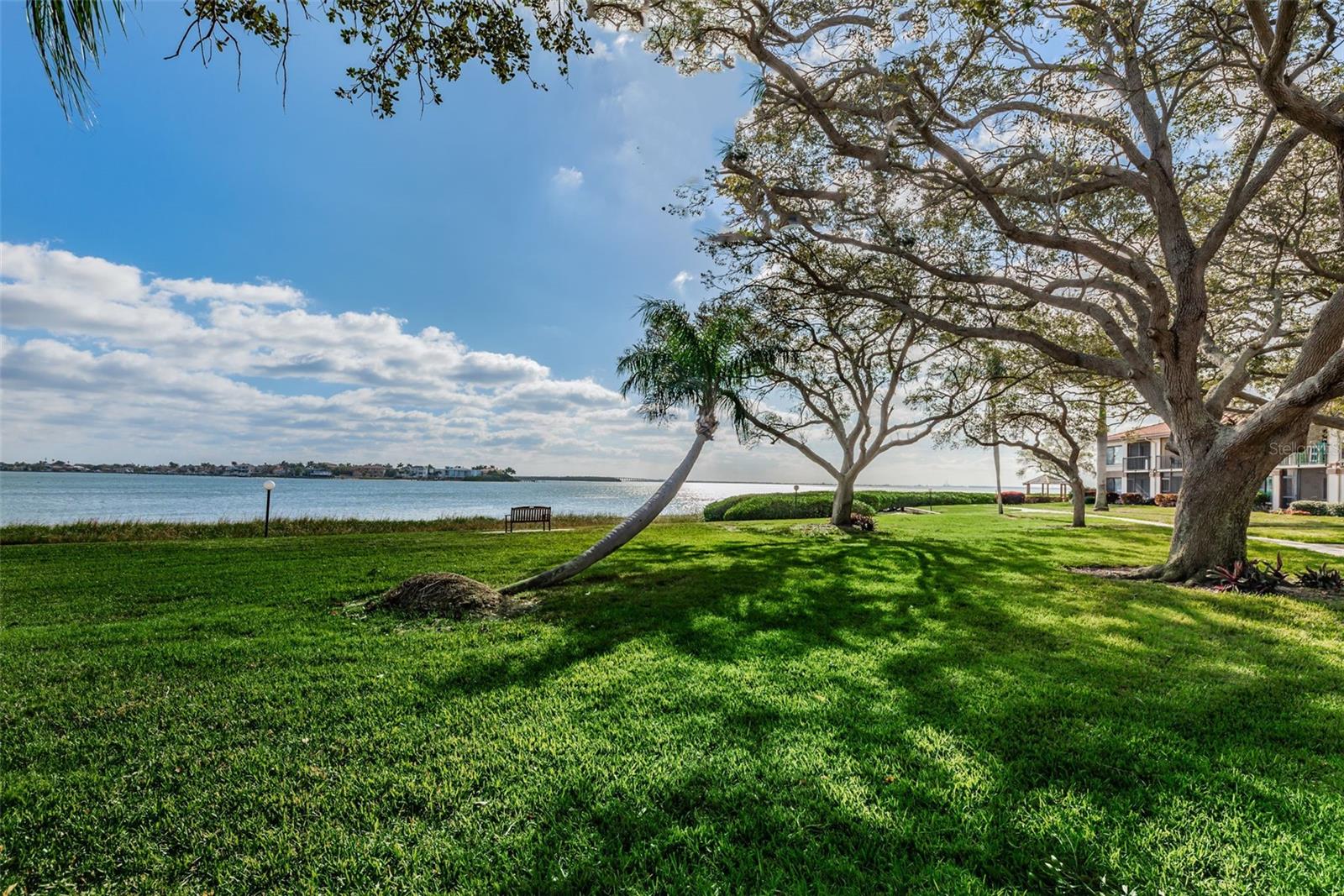 6218 PALMA DEL MAR BLVD S #208, ST PETERSBURG, FL, 33715