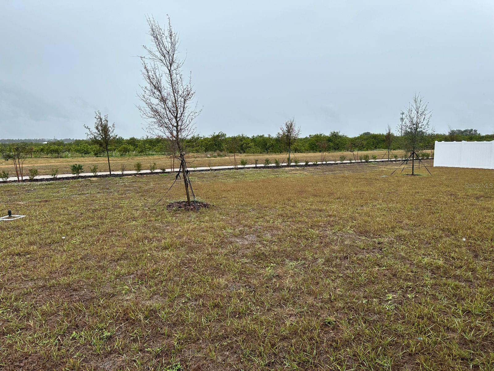 308 TAYLOR GROVES, LAKE WALES, FL, 33898