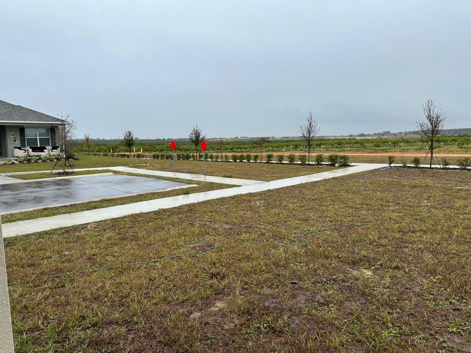 308 TAYLOR GROVES, LAKE WALES, FL, 33898
