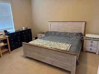 8115 ALAMOSA WOOD AVE, RUSKIN, FL, 33573
