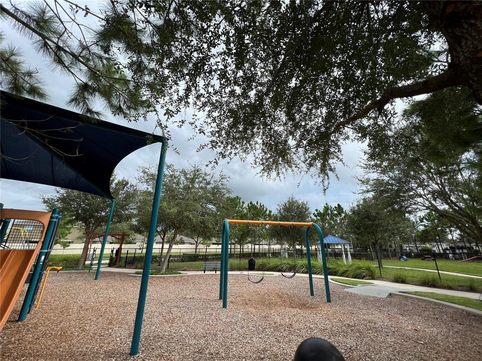 8115 ALAMOSA WOOD AVE, RUSKIN, FL, 33573