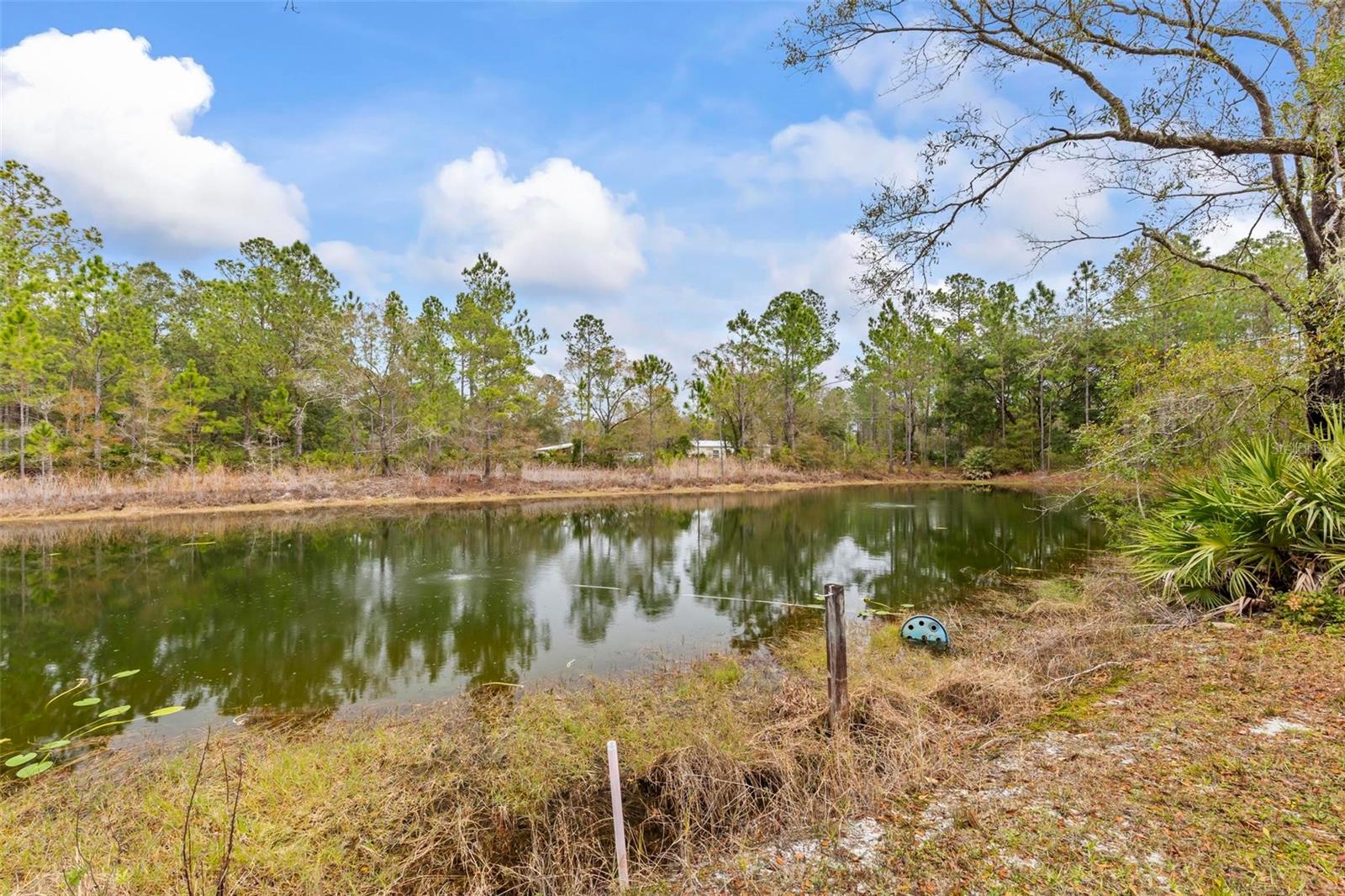 10550 ZIGLER AVE, HASTINGS, FL, 32145