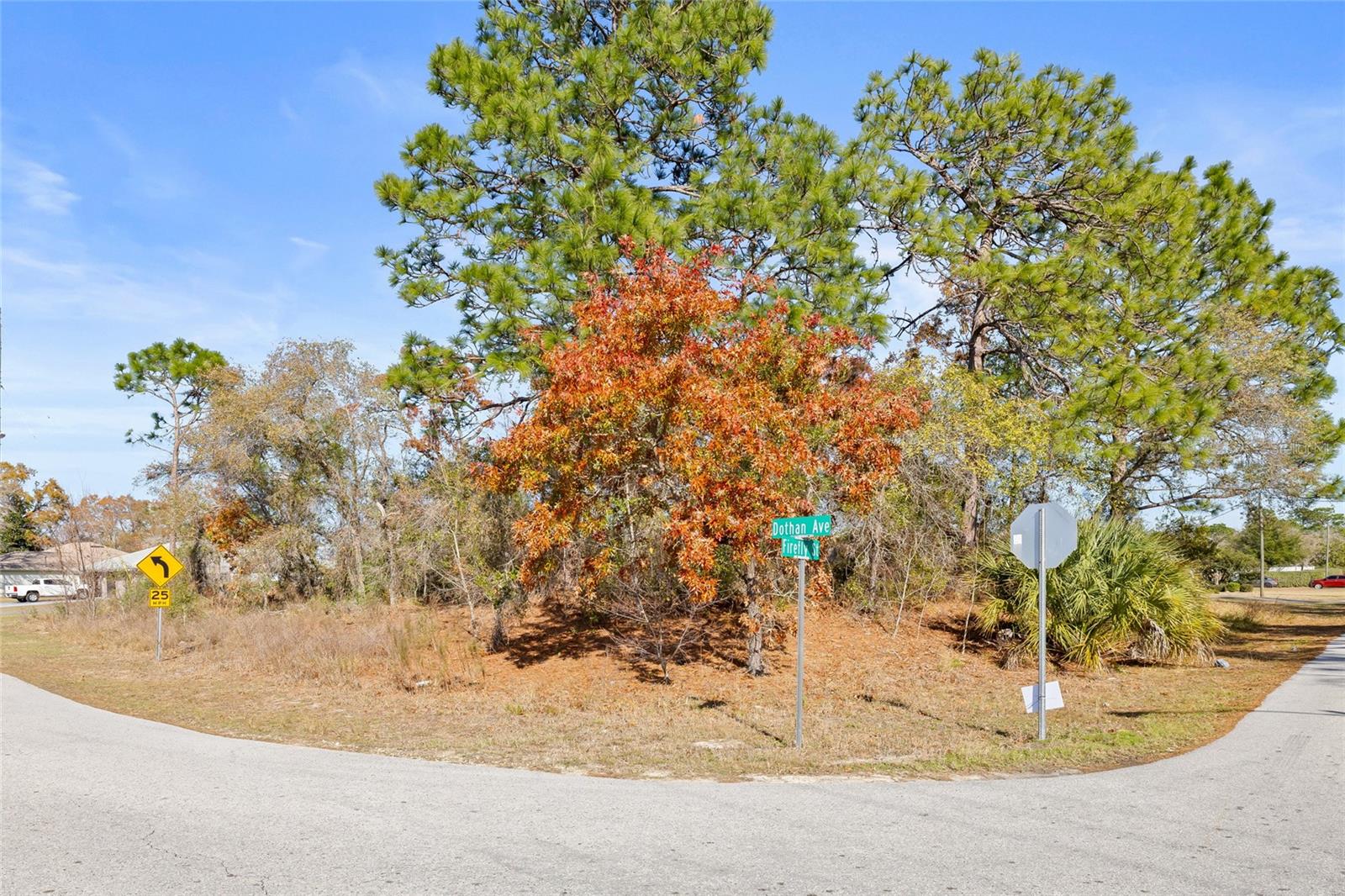 3250 DOTHAN AVE, SPRING HILL, FL, 34609
