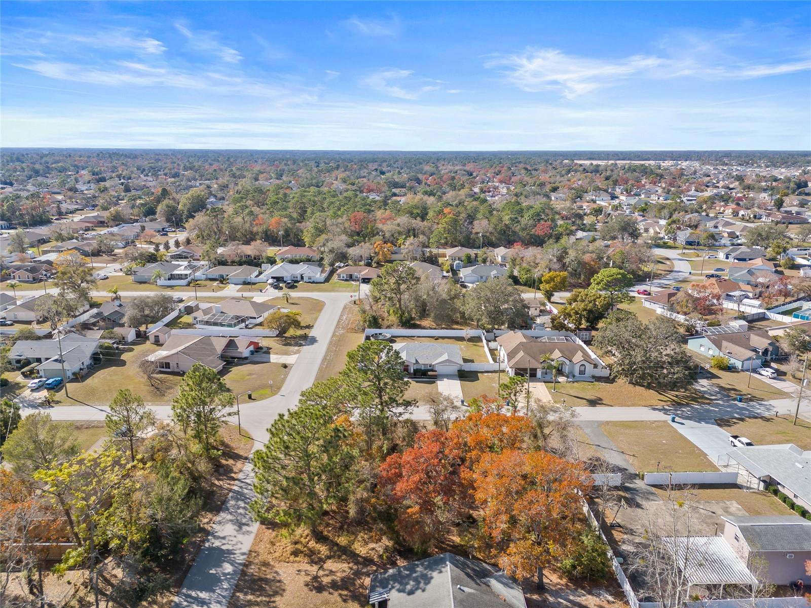 3250 DOTHAN AVE, SPRING HILL, FL, 34609