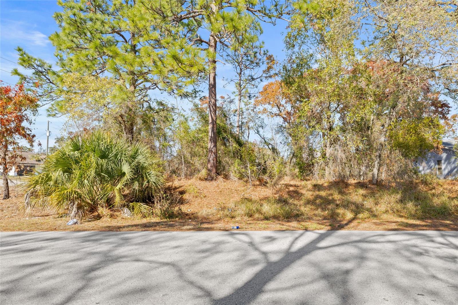 3250 DOTHAN AVE, SPRING HILL, FL, 34609