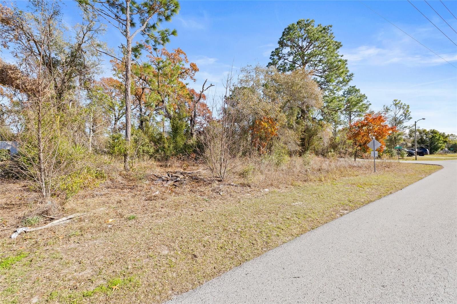 3250 DOTHAN AVE, SPRING HILL, FL, 34609