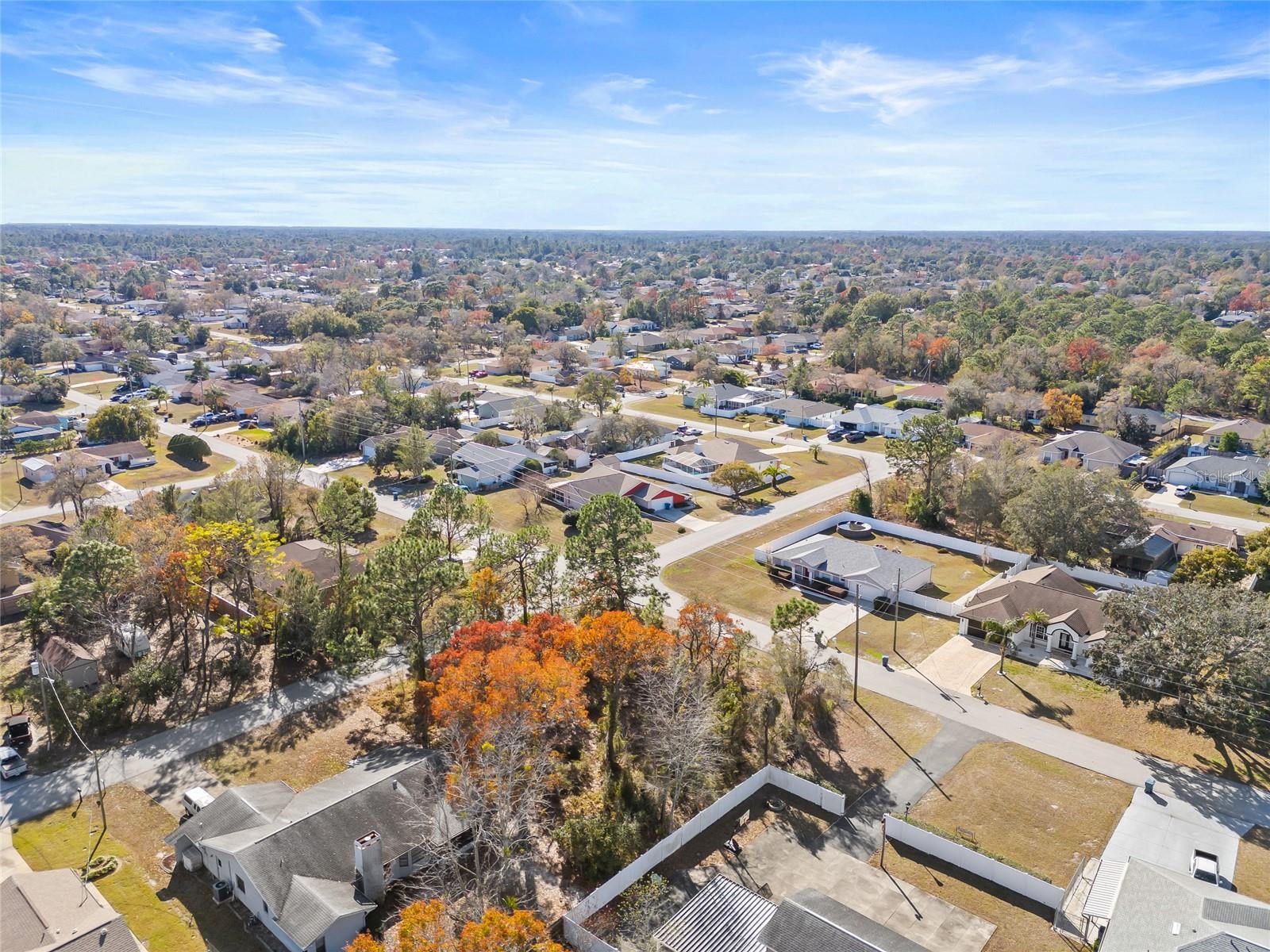 3250 DOTHAN AVE, SPRING HILL, FL, 34609