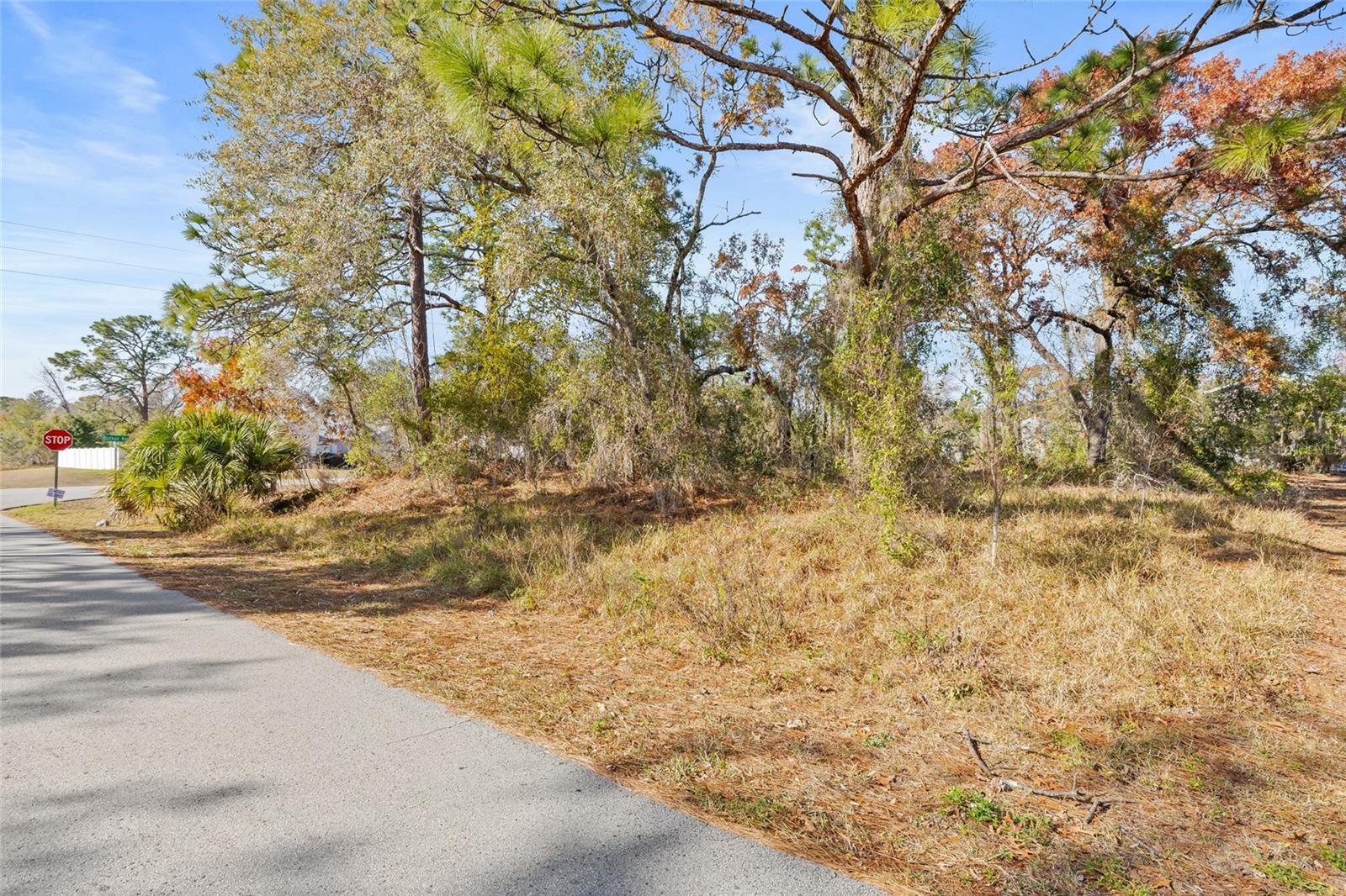 3250 DOTHAN AVE, SPRING HILL, FL, 34609