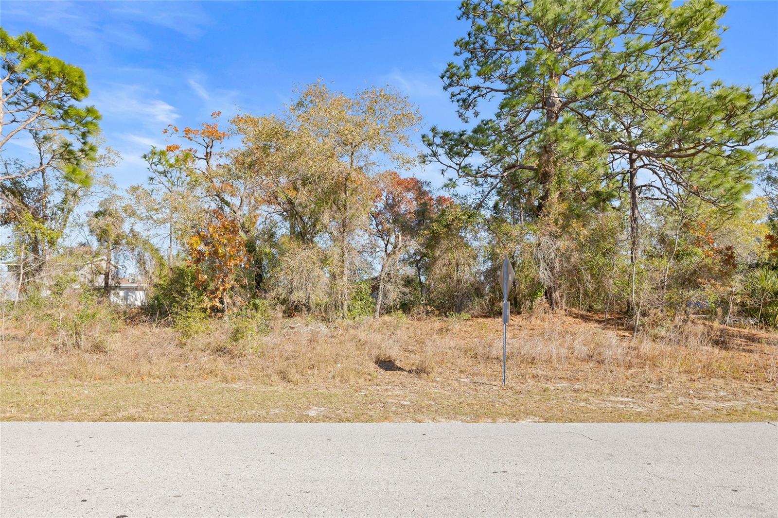 3250 DOTHAN AVE, SPRING HILL, FL, 34609
