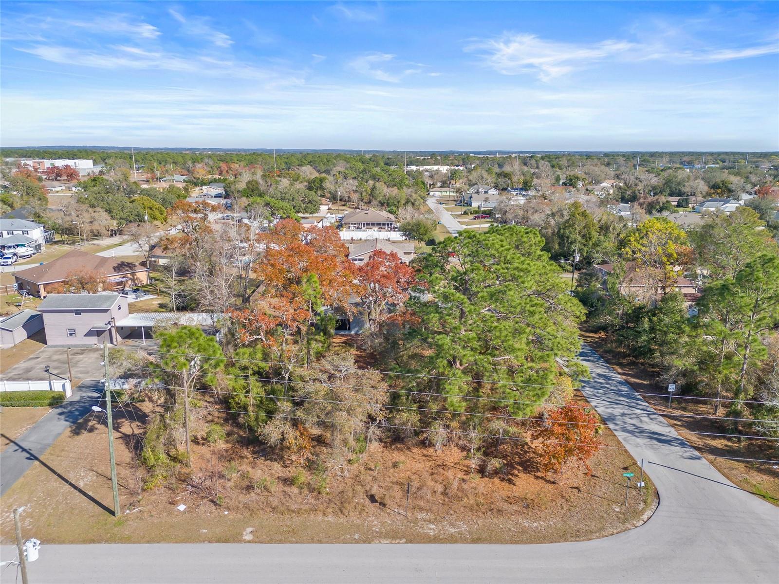 3250 DOTHAN AVE, SPRING HILL, FL, 34609