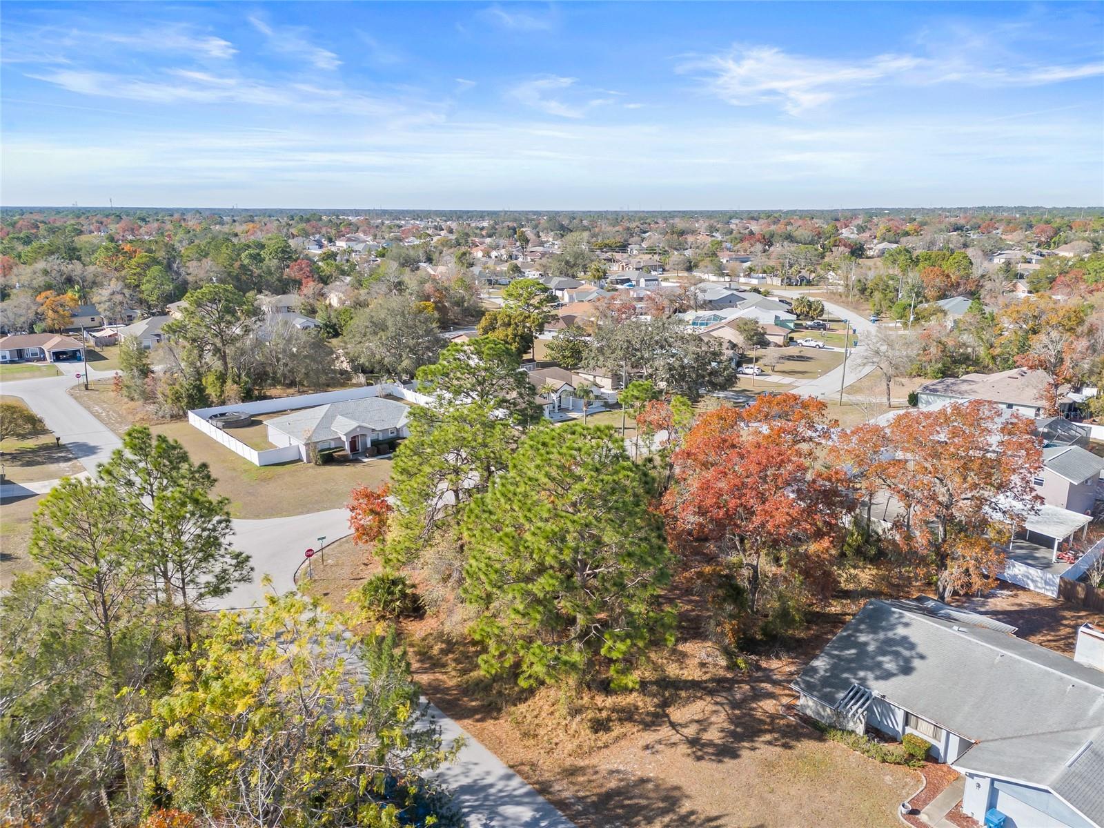 3250 DOTHAN AVE, SPRING HILL, FL, 34609