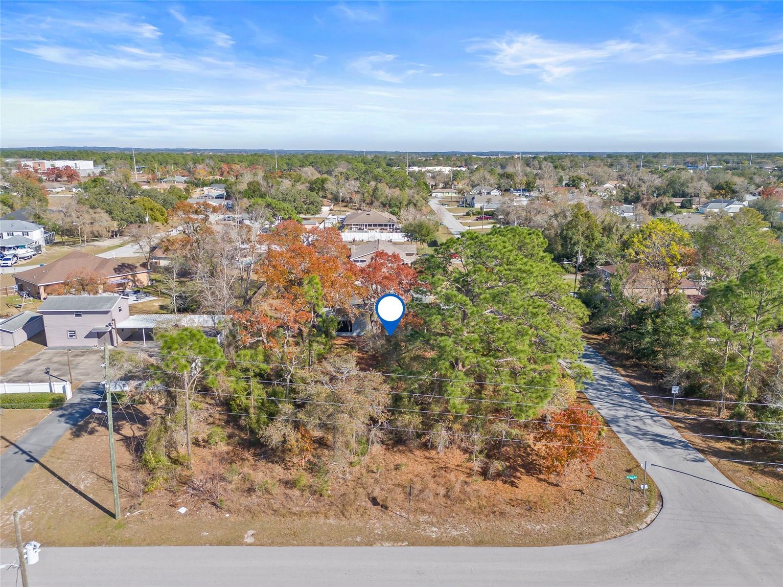3250 DOTHAN AVE, SPRING HILL, FL, 34609