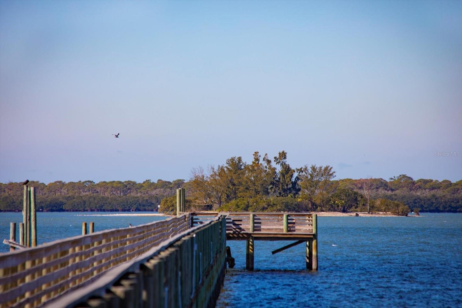 103 SHORE DR, DUNEDIN, FL, 34698