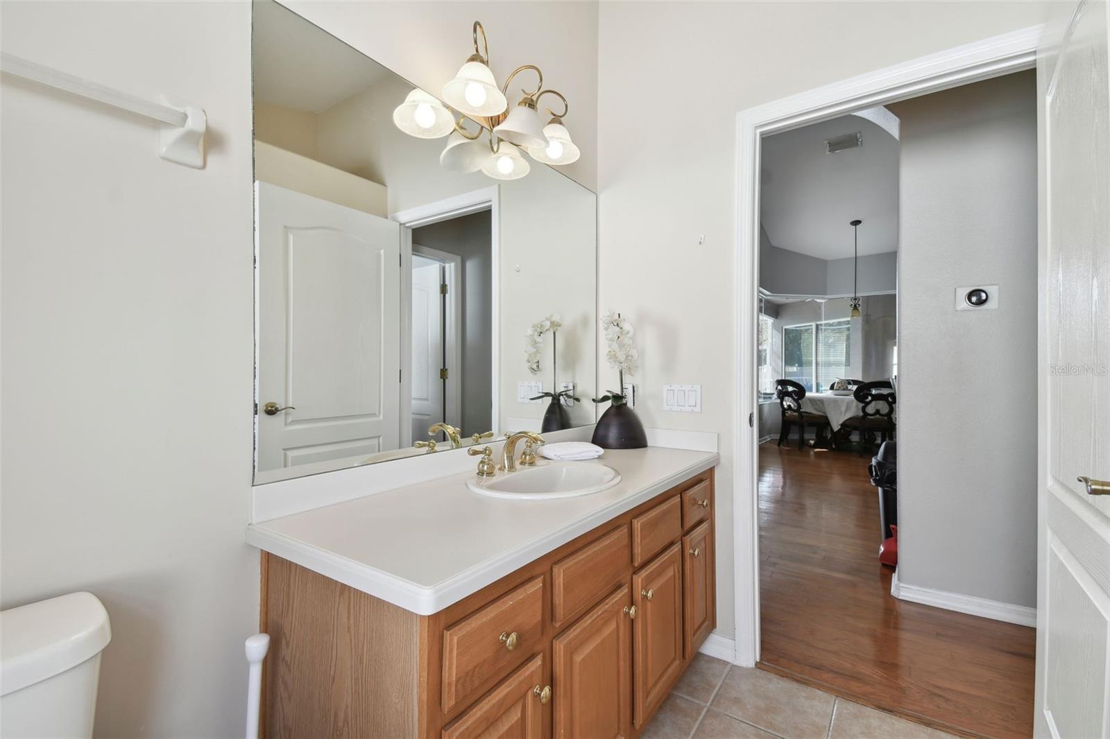 609 SALT LAKE DR, TARPON SPRINGS, FL, 34689