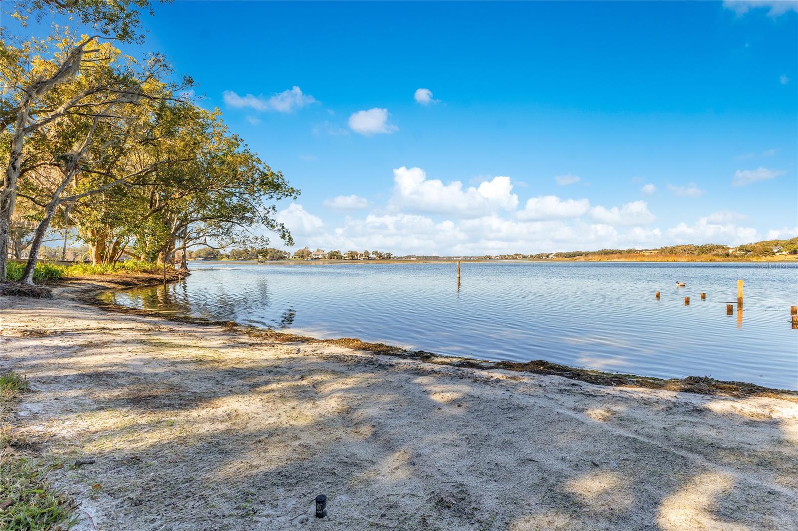 4108 DOWNEAST LN, WINDERMERE, FL, 34786