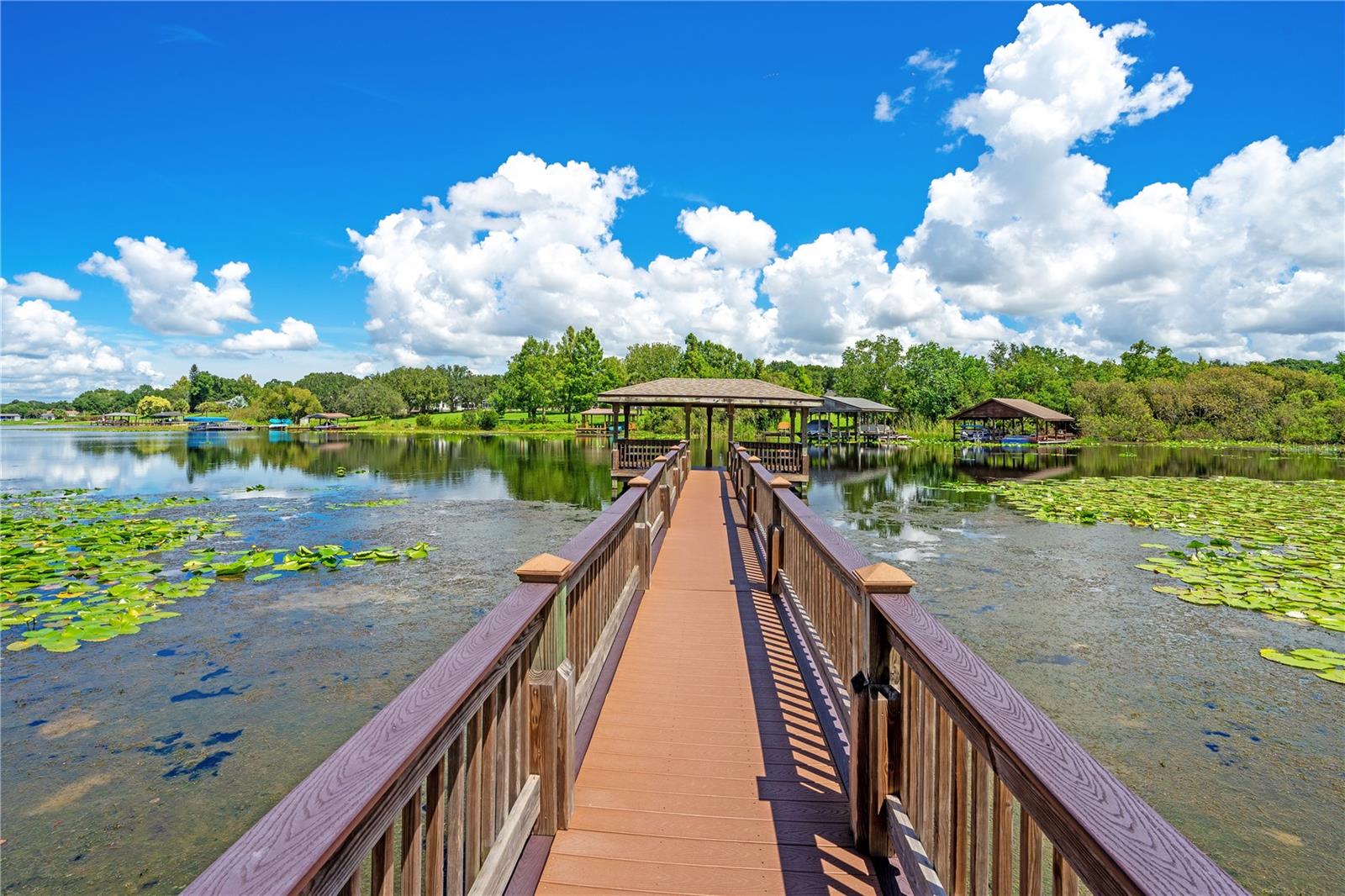 4108 DOWNEAST LN, WINDERMERE, FL, 34786