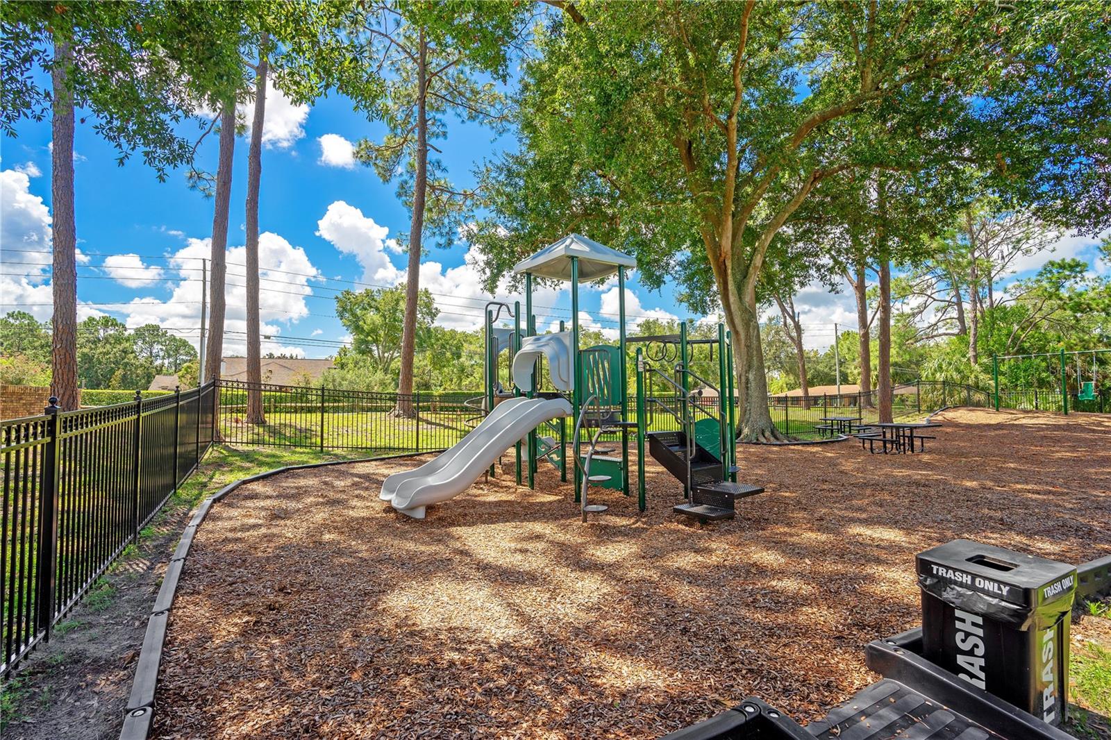 4108 DOWNEAST LN, WINDERMERE, FL, 34786