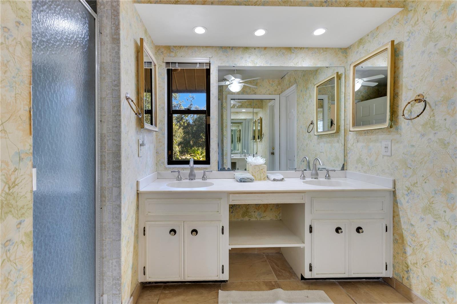 4108 DOWNEAST LN, WINDERMERE, FL, 34786