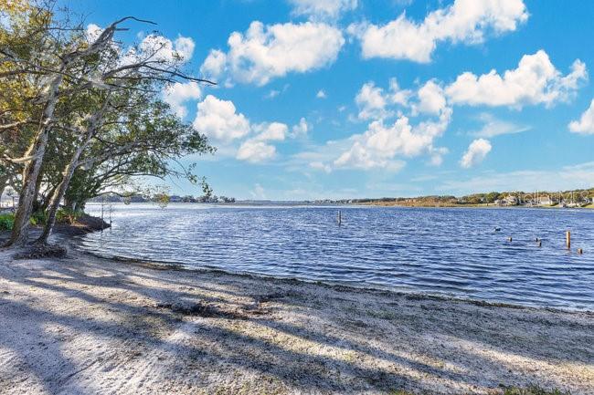 4108 DOWNEAST LN, WINDERMERE, FL, 34786