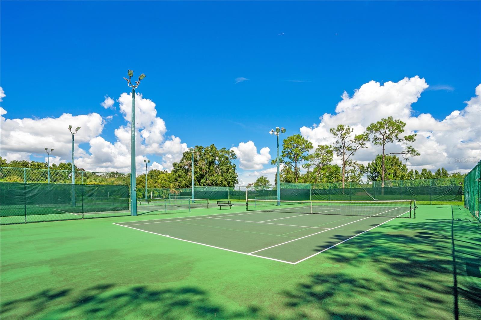 4108 DOWNEAST LN, WINDERMERE, FL, 34786