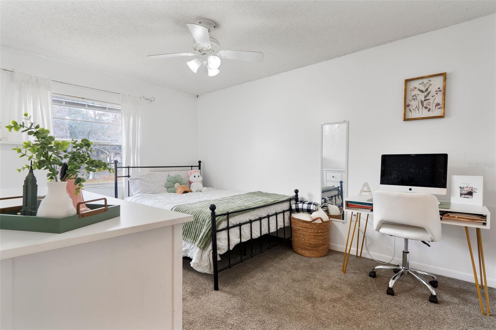 905 SUWANNEE DR, APOPKA, FL, 32703