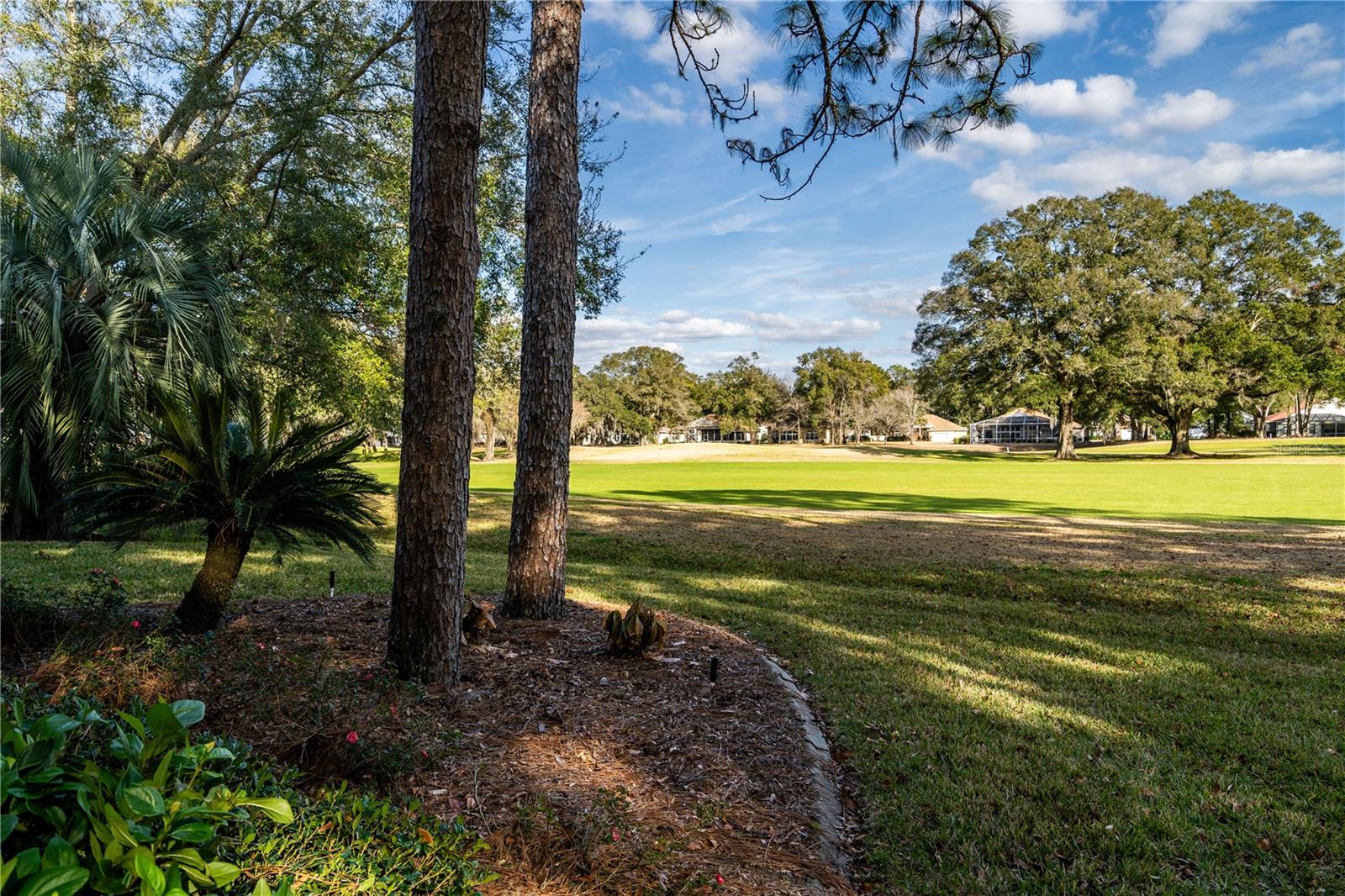 10801 SW 71ST AVE, OCALA, FL, 34476