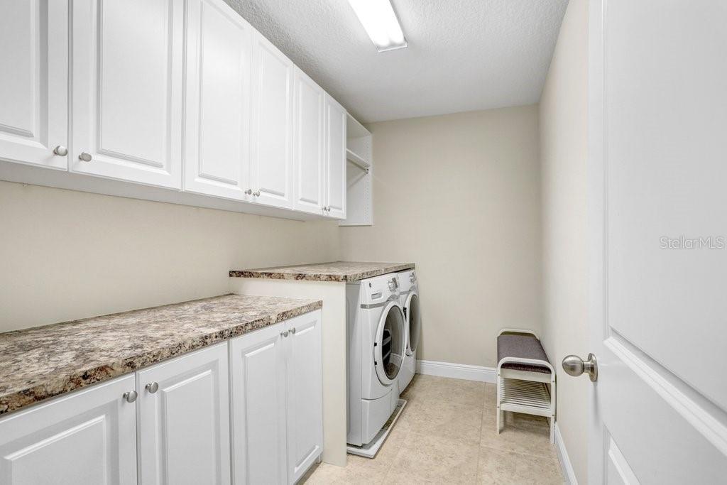 17806 ALTHEA BLUE PL, LUTZ, FL, 33558