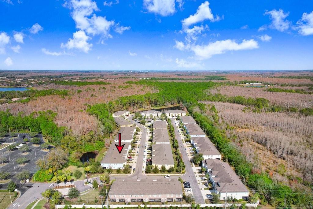 17806 ALTHEA BLUE PL, LUTZ, FL, 33558