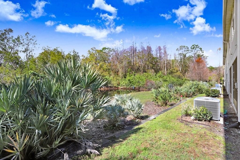 17806 ALTHEA BLUE PL, LUTZ, FL, 33558