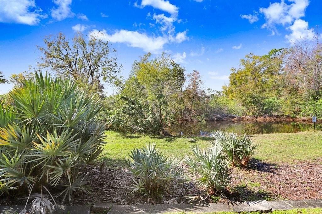 17806 ALTHEA BLUE PL, LUTZ, FL, 33558
