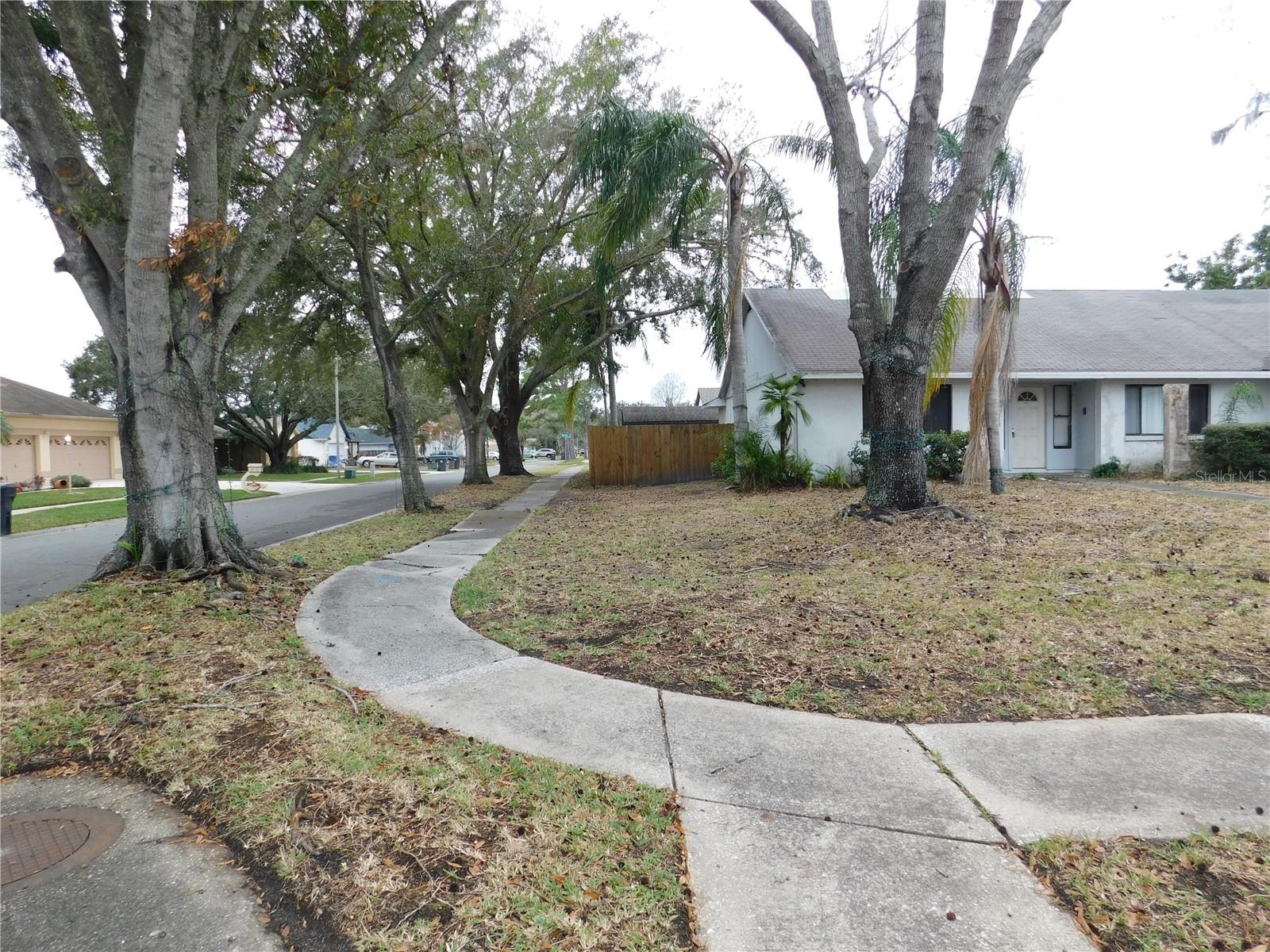 3202 CULLENDALE DR, TAMPA, FL, 33618