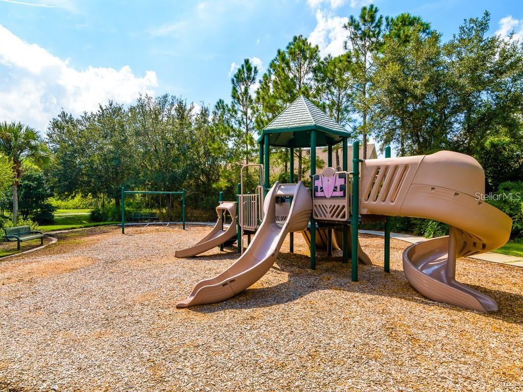 27035 FIREBUSH DR, WESLEY CHAPEL, FL, 33544