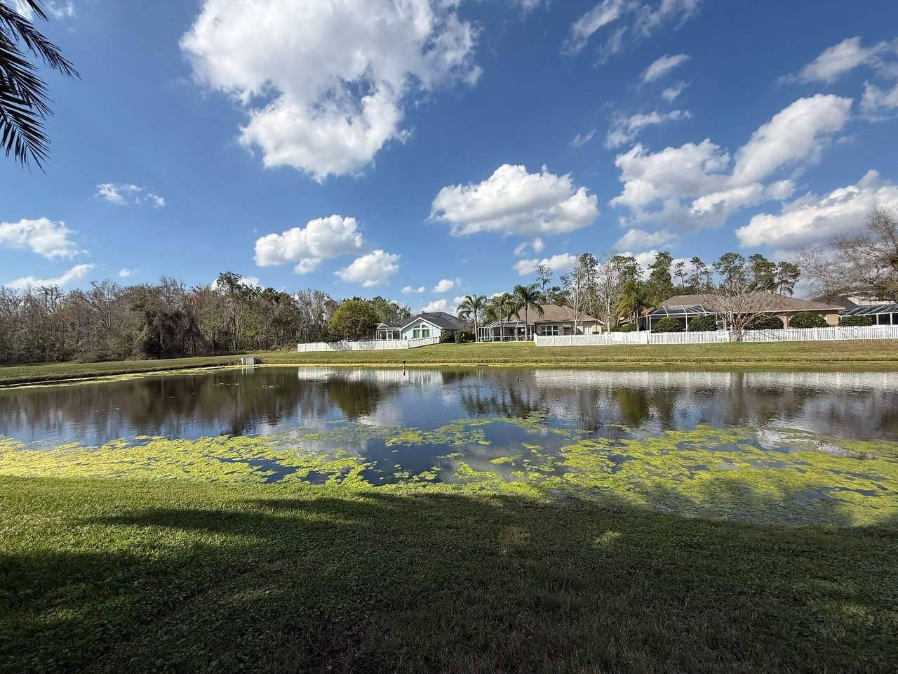27035 FIREBUSH DR, WESLEY CHAPEL, FL, 33544