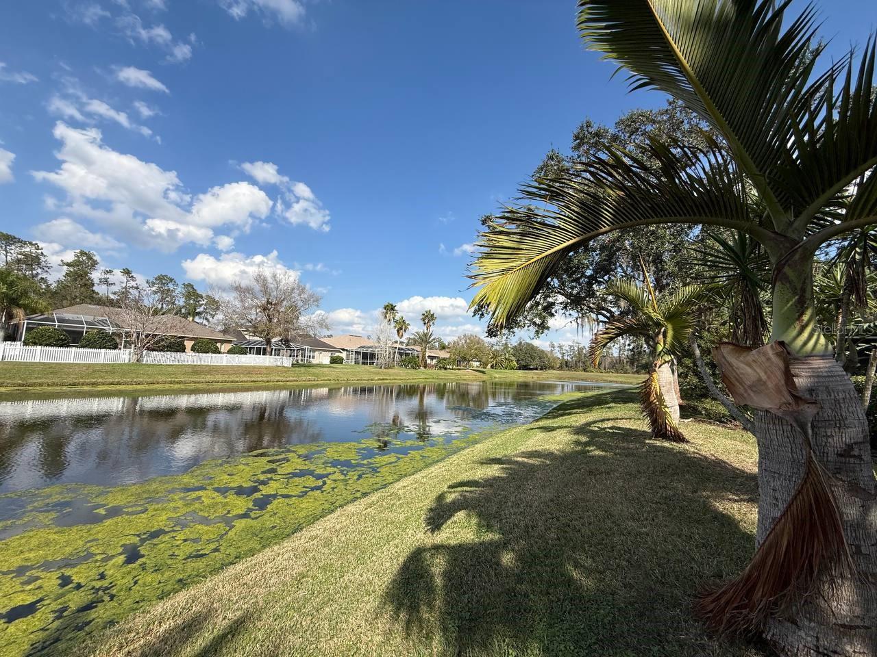 27035 FIREBUSH DR, WESLEY CHAPEL, FL, 33544