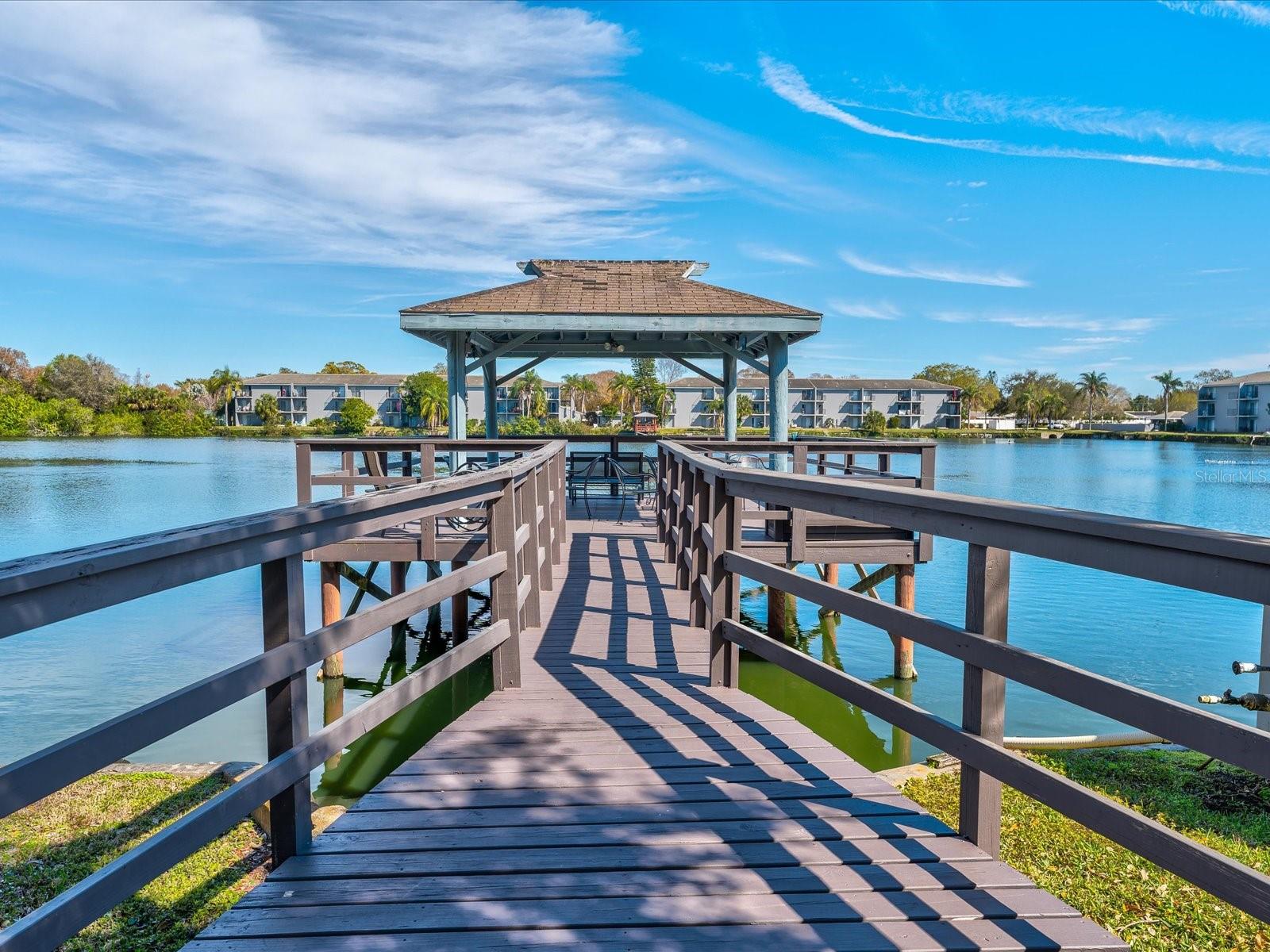 11485 OAKHURST DR #1100-312, LARGO, FL, 33774