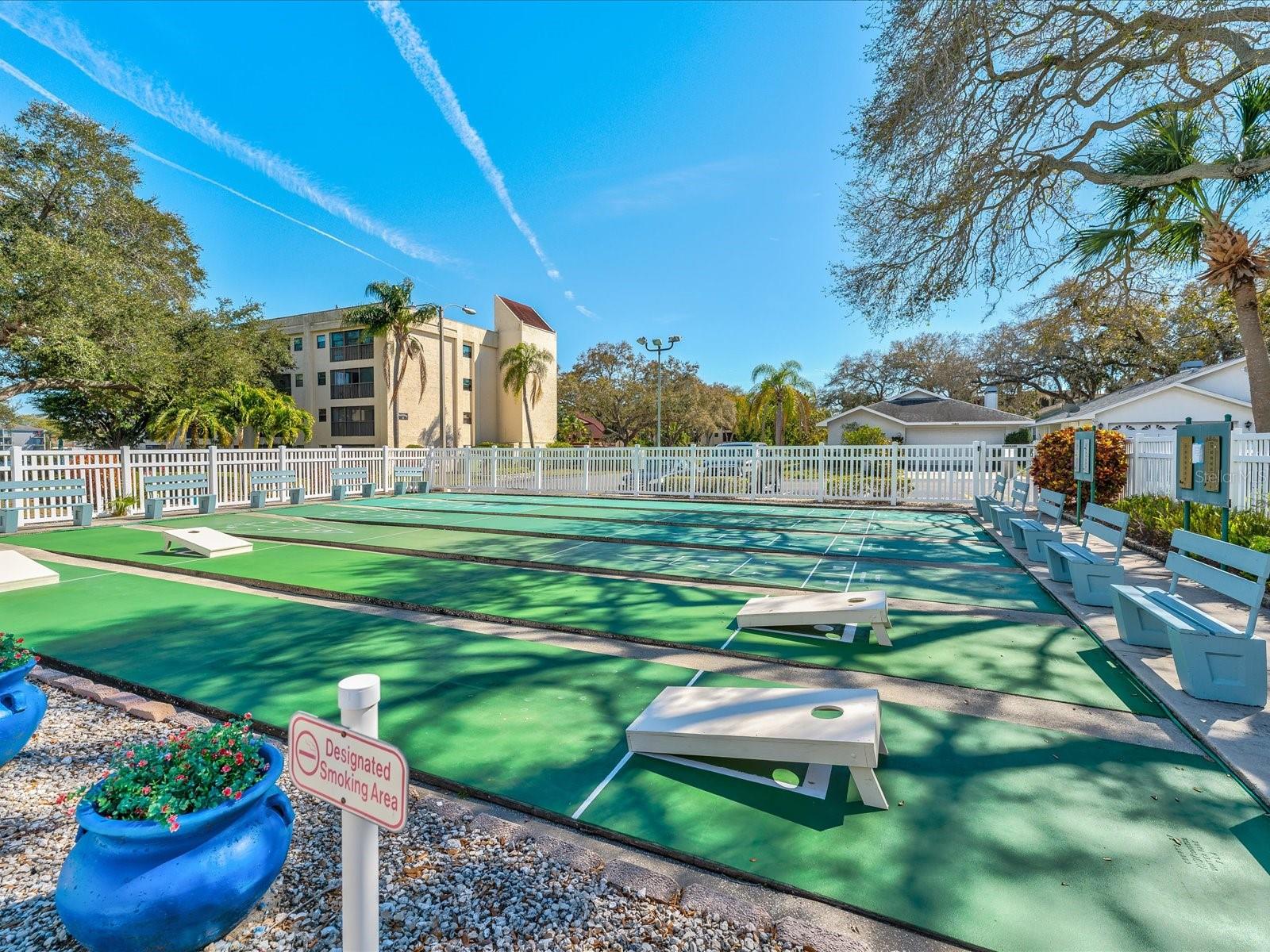 11485 OAKHURST DR #1100-312, LARGO, FL, 33774