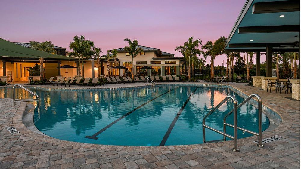 1920 LONGLINER LOOP, WESLEY CHAPEL, FL, 33543