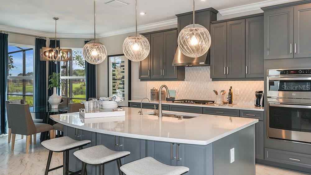 1920 LONGLINER LOOP, WESLEY CHAPEL, FL, 33543