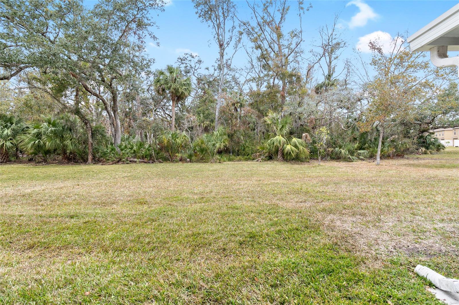 4409 WINDING RIVER WAY, LAND O LAKES, FL, 34639